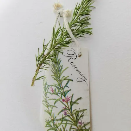 公寓 Gnjidic 斯里马