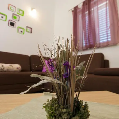 Gnjidic 公寓 斯里马